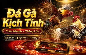 Giao diện Đá Gà DAGA